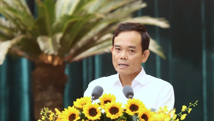 TP.HCM bàn chủ trương xây đường vượt biển nối Cần Giờ - Vũng Tàu, cầu Thủ Thiêm 4