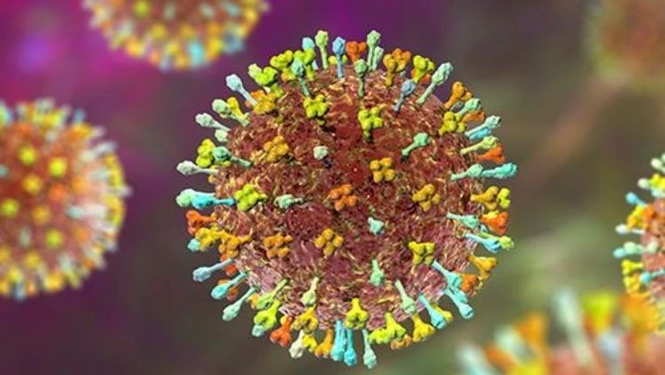 TP.HCM tập huấn chẩn đoán, điều trị và phòng chống bệnh do virus Nipah
