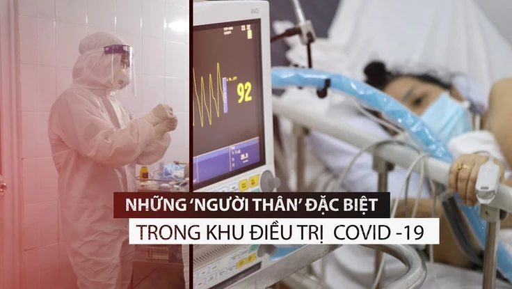 Những ‘người thân’ đặc biệt tại khu điều trị COVID-19 nặng