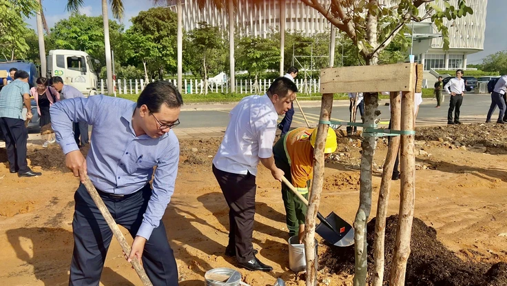 Trồng 230 cây xanh tại Khu đất quy hoạch Quảng trường sáng tạo, TP.HCM
