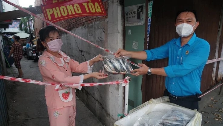 Ngư dân Quảng Bình tặng 500 kg cá cho người dân TP.HCM