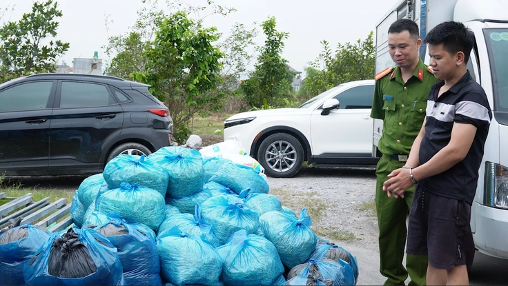 Công an thu giữ 4 tấn giá đỗ chứa chất cấm