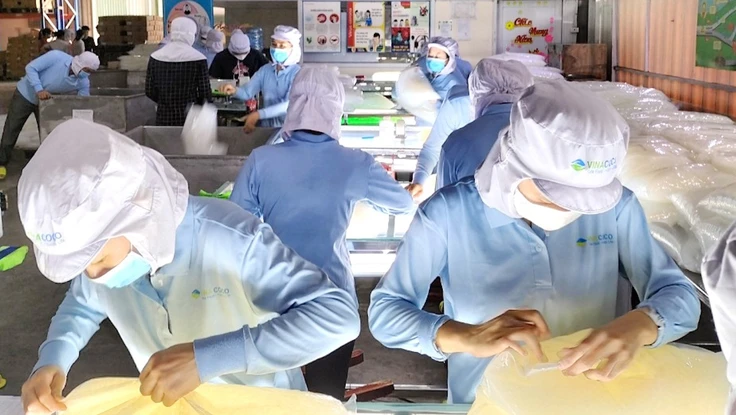 Thúc đẩy chuyển đổi kép, mở đường cho doanh nghiệp vào chuỗi giá trị toàn cầu