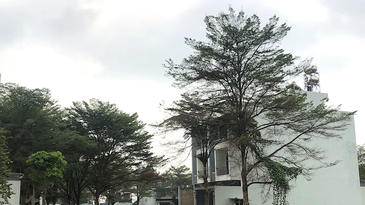 Giảm tiền sử dụng đất để người dân không còn lo gánh nặng 'sổ hồng'