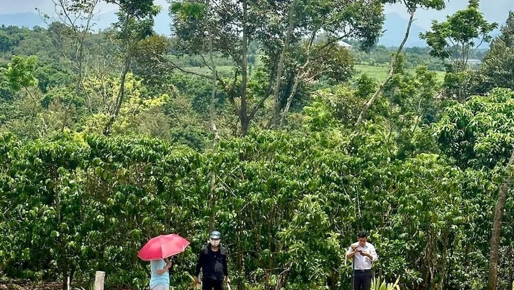 Gỡ gánh nặng chi phí lên thổ cư: Kiến nghị chỉ thu 20%, hoàn tiền đã nộp