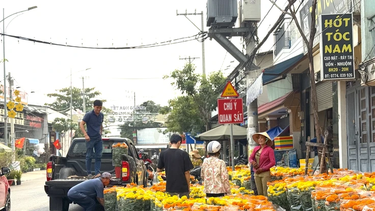 Chợ hoa tết TP.HCM: Phân khúc giá rẻ lên ngôi, mai bonsai hút khách