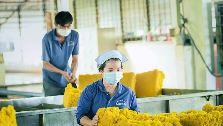 VRG tái cấu trúc toàn diện, mở đường chạm mốc 50.000 tỉ đồng