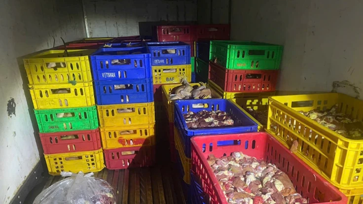 Liên tiếp phát hiện các vụ vận chuyển thịt heo, gà bẩn vào TP.HCM tiêu thụ