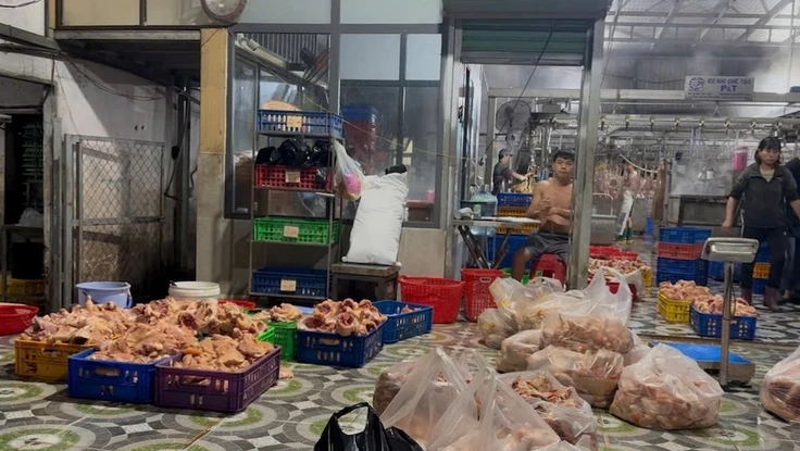 Phạt hai cơ sở giết mổ gia cầm trái phép lúc rạng sáng