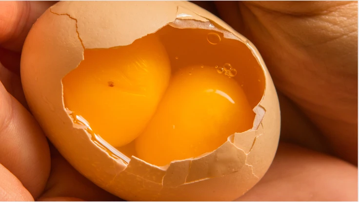 Xôn xao việc quả trứng gà hai lòng đỏ có thể do làm giả: Chuyên gia nói gì?