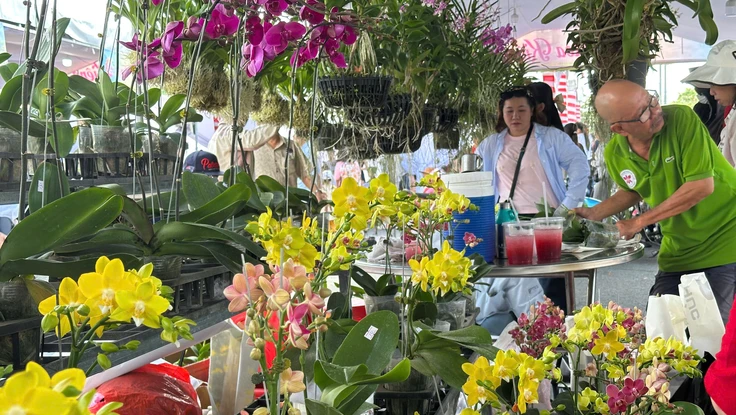 Hoa Tết đủ sắc màu đã ngập tràn khắp phố phường, chợ mạng