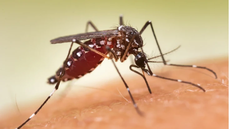 Lưu ý quan trọng trong ăn uống khi bị sốt xuất huyết