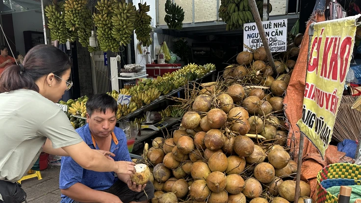 Nắng nóng kéo dài, giá dừa tươi bật tăng