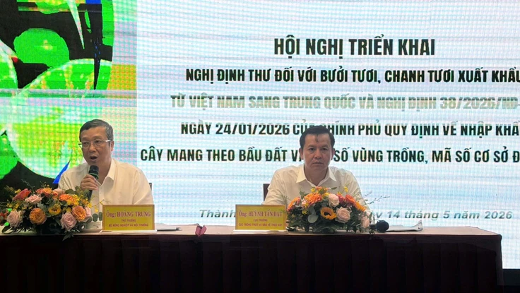 Thứ trưởng: Đừng biến mã số vùng trồng thành 'giấy phép con' 