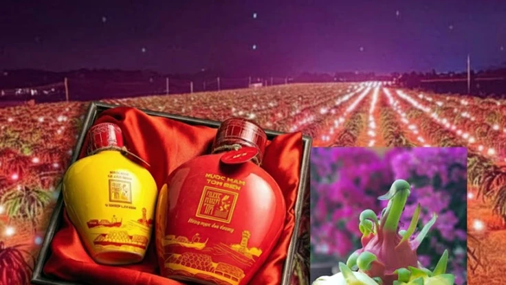 Lâm Đồng thông tin về dừng bảo hộ, chỉ dẫn địa lý cho tôm Bình Thuận