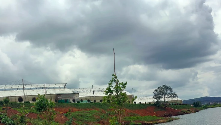 Lâm Đồng: Thành lập 2 đoàn điều tra tai nạn lao động khiến 2 người tử vong