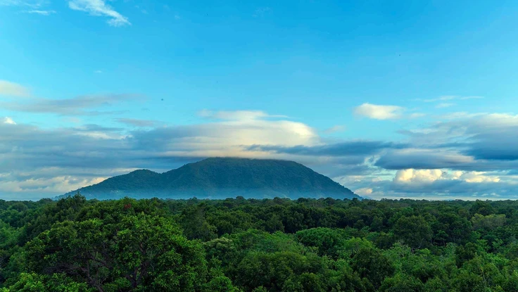 Từ bảo tồn đến khu dự trữ thiên nhiên, Tà Kóu ngọn núi mồ côi không cô độc