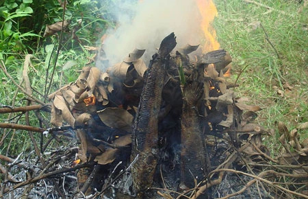 Đón năm mới với… cá lóc nướng trui