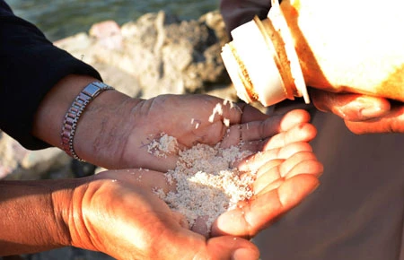 Nắm cát Hoàng Sa