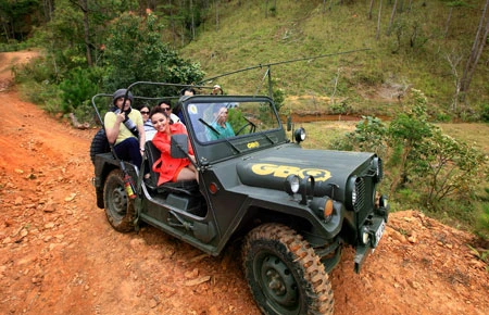 “Ở trọ giữa rừng”