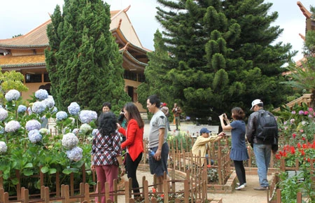 Rủ nhau du xuân tiết kiệm