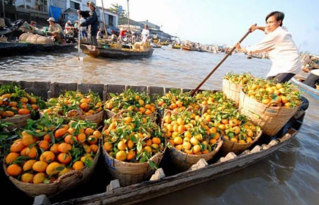 Hồn chợ