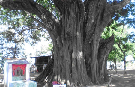  “Ông Tà” mà không tà!