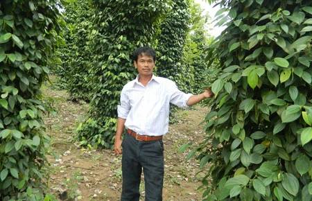 Tỉ phú giữa đại ngàn