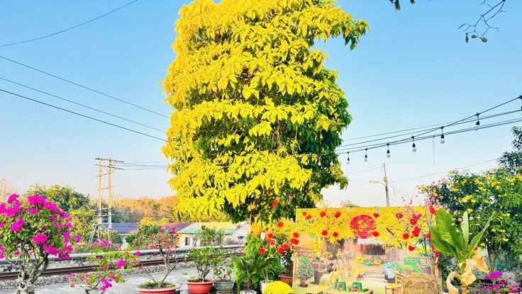 Khi ga tàu ngày Tết trở thành điểm check-in mới cho hành khách