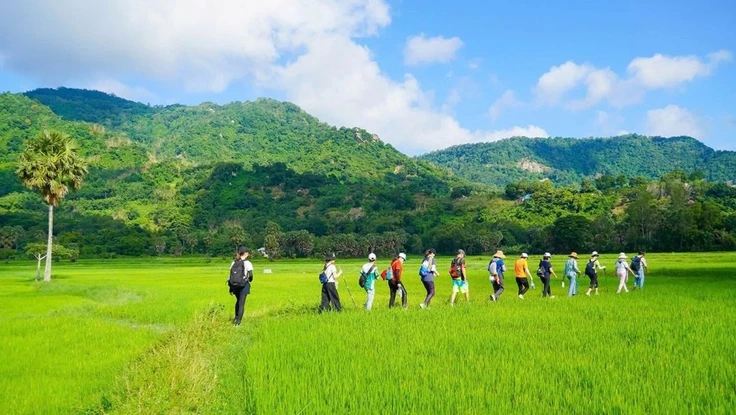 Đề xuất đưa tín chỉ carbon trong nông nghiệp lên sàn giao dịch 