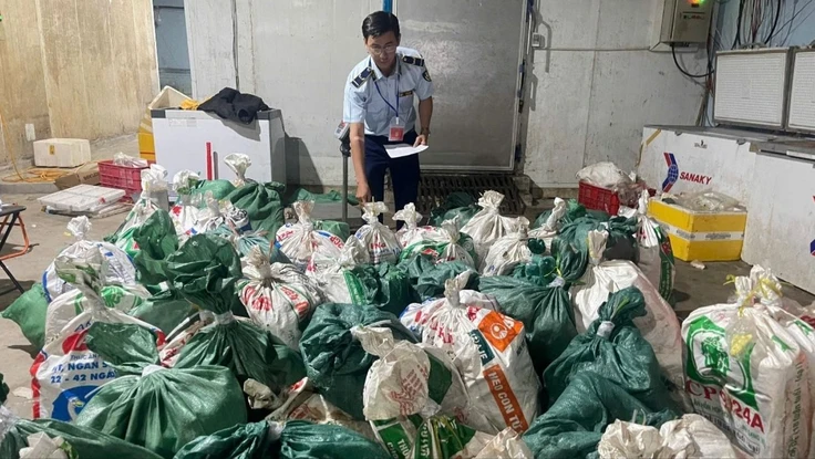 TP.HCM: Phát hiện hộ kinh doanh chứa hơn 18 tấn lòng bò, thịt bò không rõ nguồn gốc