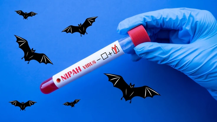 Bùng phát virus Nipah ở Ấn Độ: Nguy hiểm mức nào, lây nhiễm sao, cách phòng tránh?