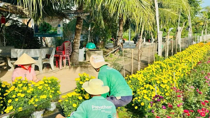 Xóm rẫy sau mùa lũ 