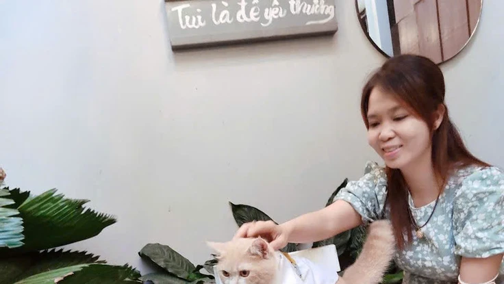 Muốn hút khách bằng thú cưng, quán cà phê cần lưu ý điều gì để tránh bị phạt?