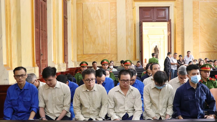 Đang xét xử các cựu lãnh đạo Chi cục Thú y Vùng VI vụ tiếp tay buôn lậu 