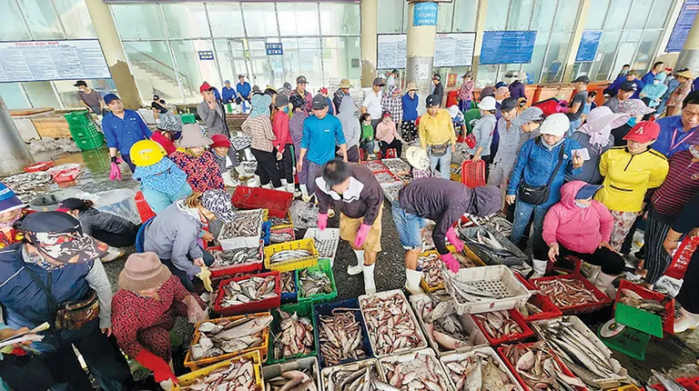 Cảnh mua bán tấp nập ở cảng cá Thọ Quang tại quận Sơn Trà, TP Đà Nẵng.