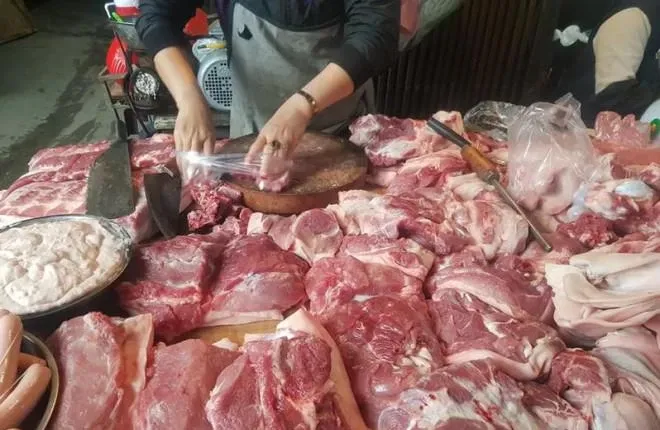 Giá heo hơi đã giảm trở lại