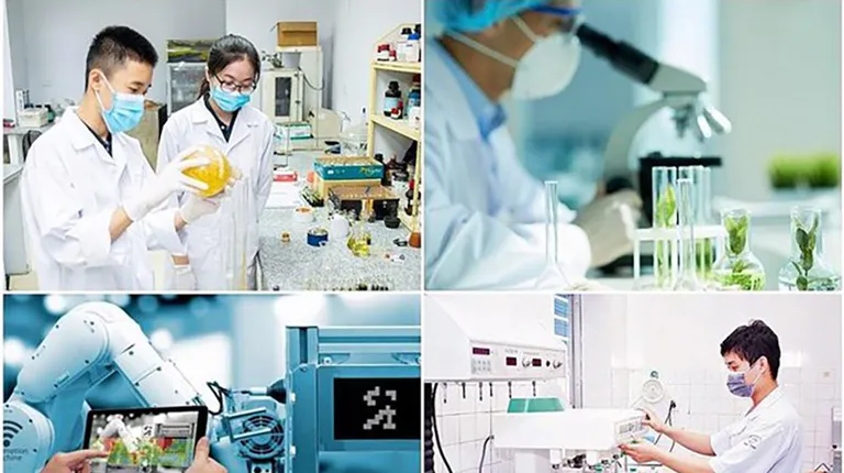 TP.HCM lập Ban Chỉ đạo về triển khai thực hiện phát triển khoa học công nghệ