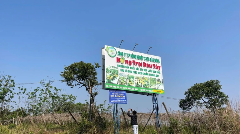 Tỉnh Đắk Nông yêu cầu làm rõ vụ chủ tịch xã 'khai tử' hộ kinh doanh đang hoạt động