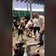 Hooligan Anh đánh dã man CĐV Ý tại sân Wembley