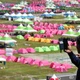 Hàn Quốc: Hơn 700 hướng đạo sinh bị sốc nhiệt khi cắm trại giữa trời nắng nóng gay gắt