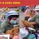 Đúng, sai chuyện Cà Mau tiêu hủy 13 chú chó theo chủ về quê