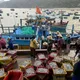 Trúng đậm cá cơm, ngư dân Bình Định thu tiền triệu mỗi ngày