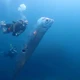 VIDEO: Cá mái chèo hiếm gặp bơi gần mặt biển