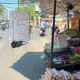 Bất ngờ trứng gà giá chỉ 15.000 đồng/chục