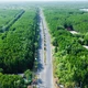 Nghiên cứu lập hồ sơ đề xuất dự án đường sắt đô thị TP.HCM - Cần Giờ