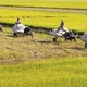Về miền Tây, thương…