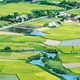 Con đường thiên lý của nước Việt