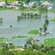 Sinh mệnh của dòng sông