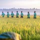 Khám phá cung đường băng qua vườn trái cây đặc trưng của miền Tây